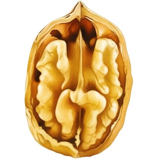 باخشکبار